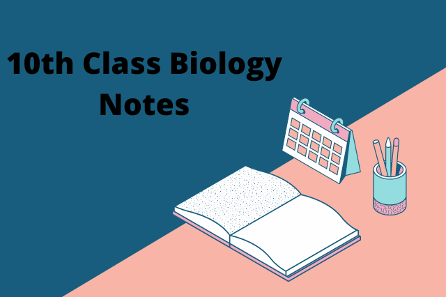 10th Class Biology Notes FBISE Free Download In PDF 2022